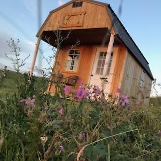 Montana Old West Cabins Vendégház Babb Kültér fotó